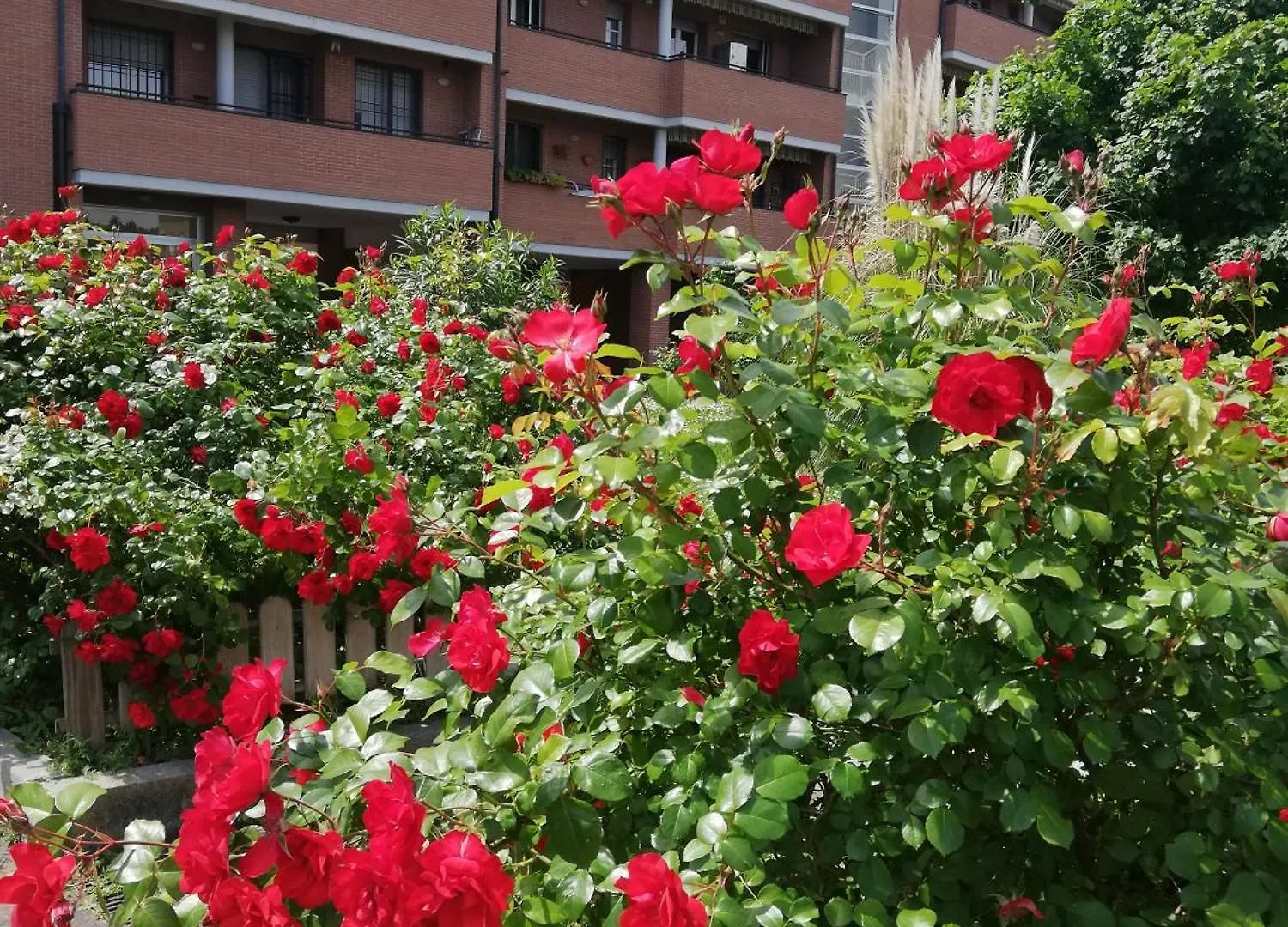 Parri 33 Bologna Fiera 4+1 Guest Parking On Demand Appartement